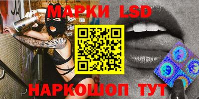 шишки Будённовск